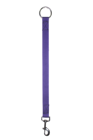 A bucket hanger with a chrome ring and snap.