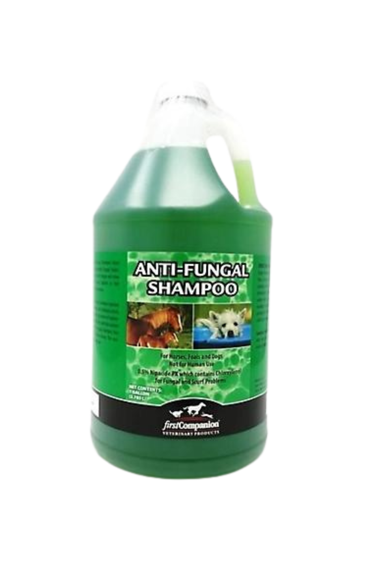 FIRST COMPANION ANTI-FUNGAL SHAMPOO