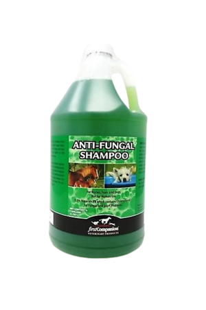 FIRST COMPANION ANTI-FUNGAL SHAMPOO
