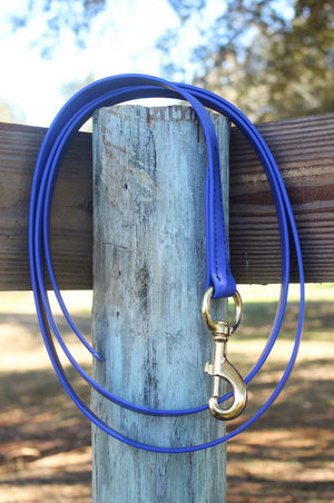 biothane dog leash with a metal snap.