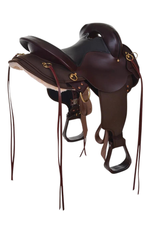 A brown Circle Y Julie Goodnight Wind River saddle with decorative tooling and a silver horn cap, designed for trail riding.