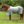 A gray horse fly sheet with fleece lining and adjustable straps.