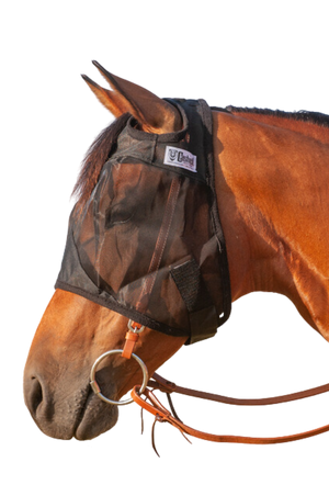 A brown horse wearing a black Quiet Ride Designer Horse Fly Mask, fastened securely over the bridle.