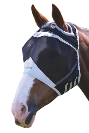 A horse wearing a black and gray fine mesh fly mask with a 3D eye visor and secure fly proof mesh shield.