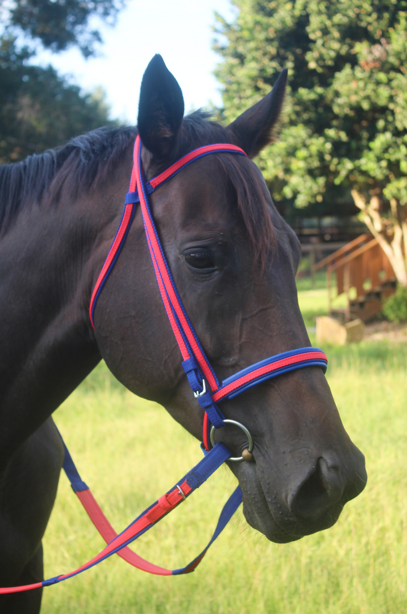 Tack Hack TS Nylon Race Bridle Set – Tack Shack Of Ocala
