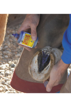 A bottle of THRUSH BUSTER horse care product with a pinpoint nozzle, yellow label with blue and black text, against a white background.