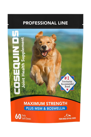 Cosequin DS joint health supplement package for dogs with a running dog on a grassy field.