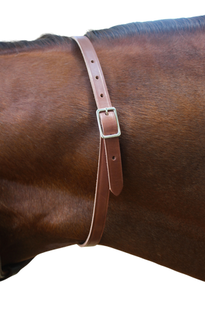 A brown leather neck strap with a brass name plate on a horse, used for identification.