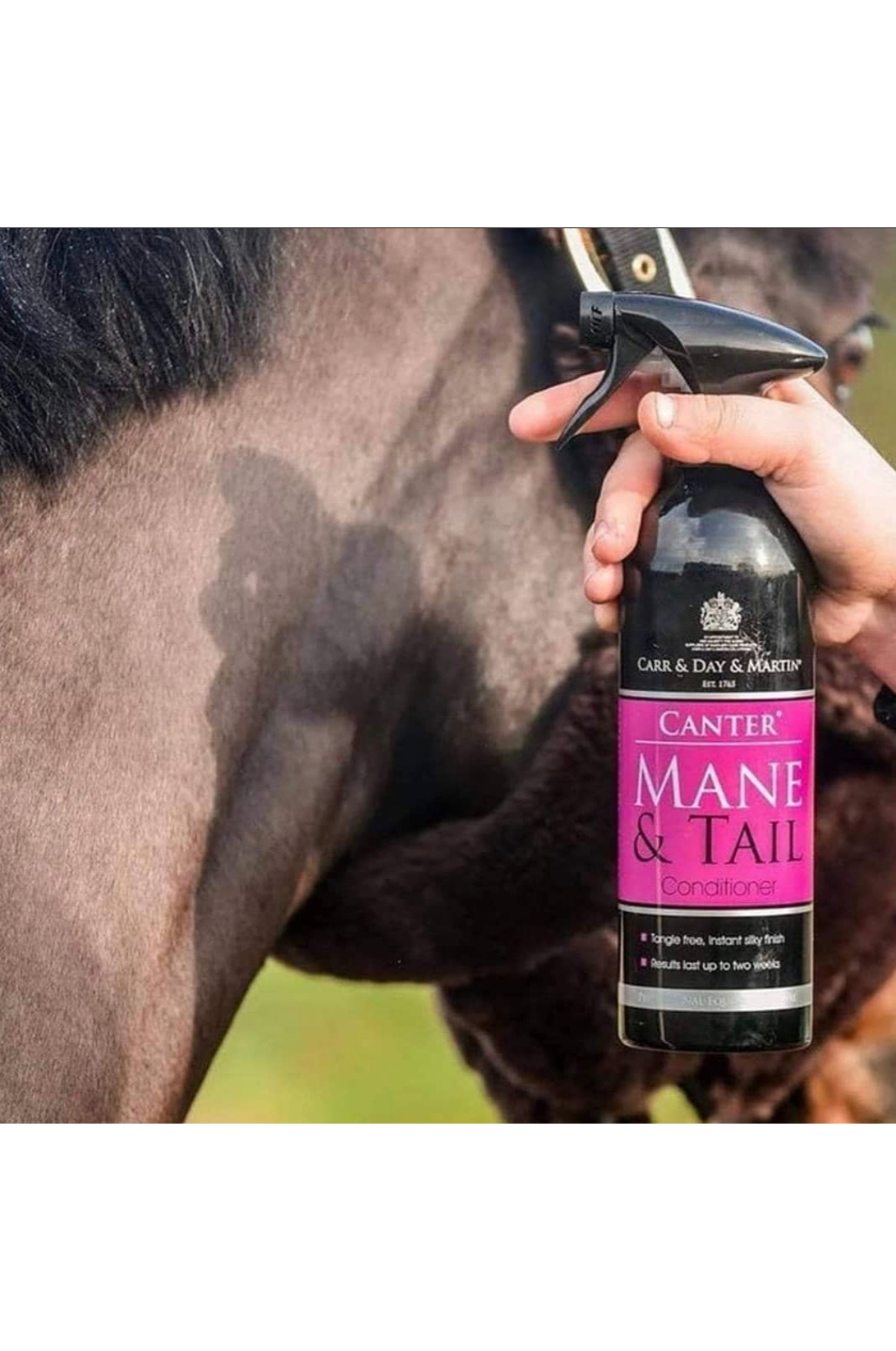 CANTER MANE & TAIL SPRAY