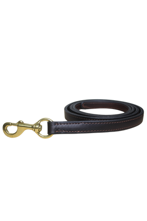 A brown leather horse lead with solid brass hardware including a snap.