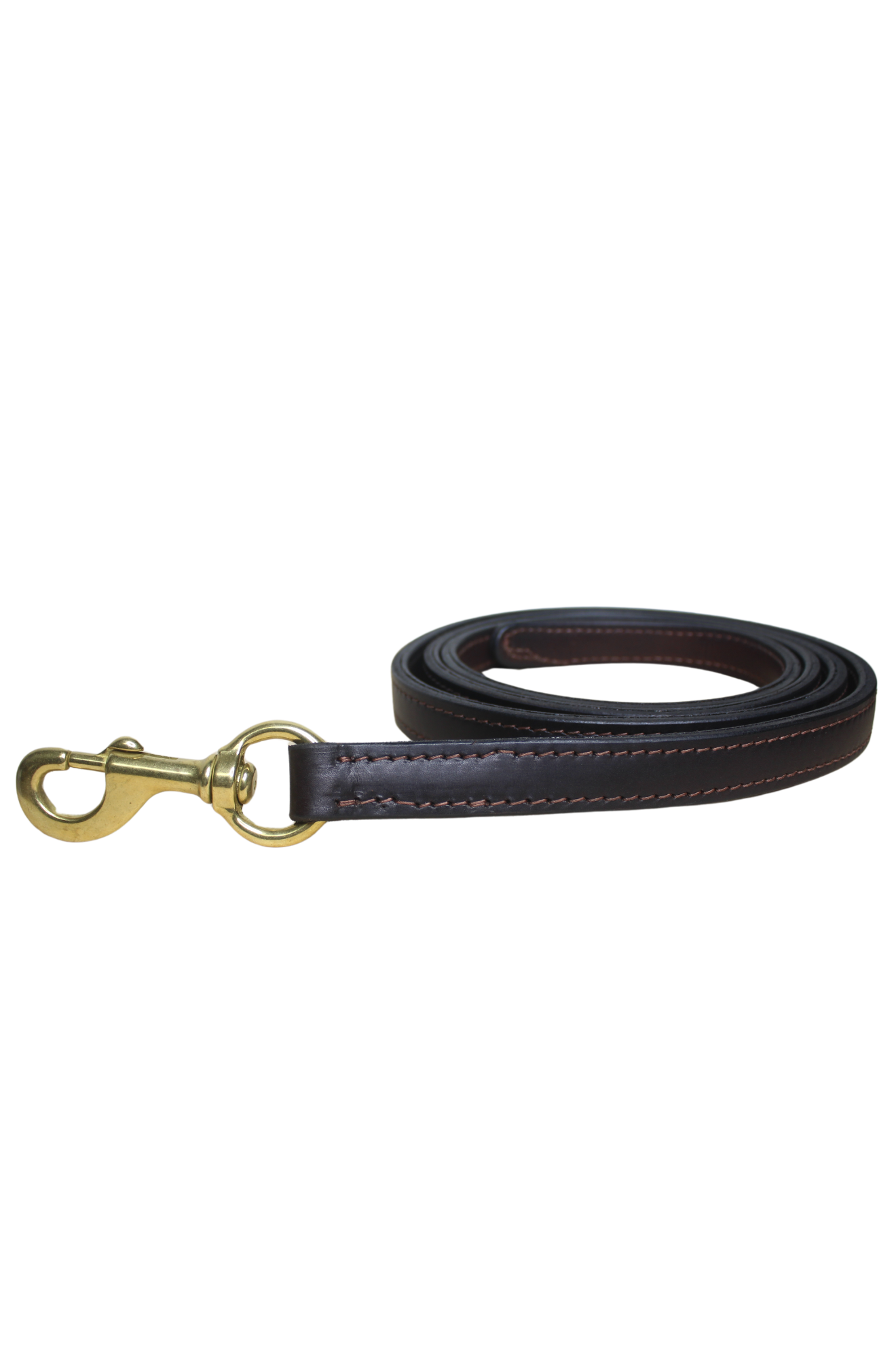 TS DOUBLE LEATHER LEAD WITH SNAP