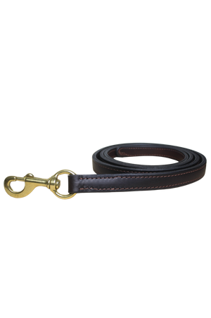 A brown leather horse lead with solid brass hardware including a snap.