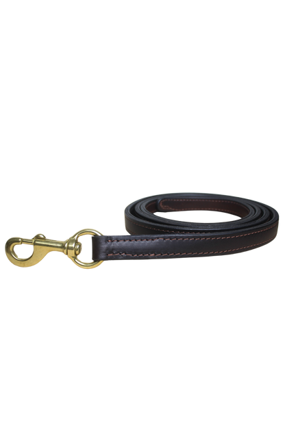 TS DOUBLE LEATHER LEAD WITH SNAP