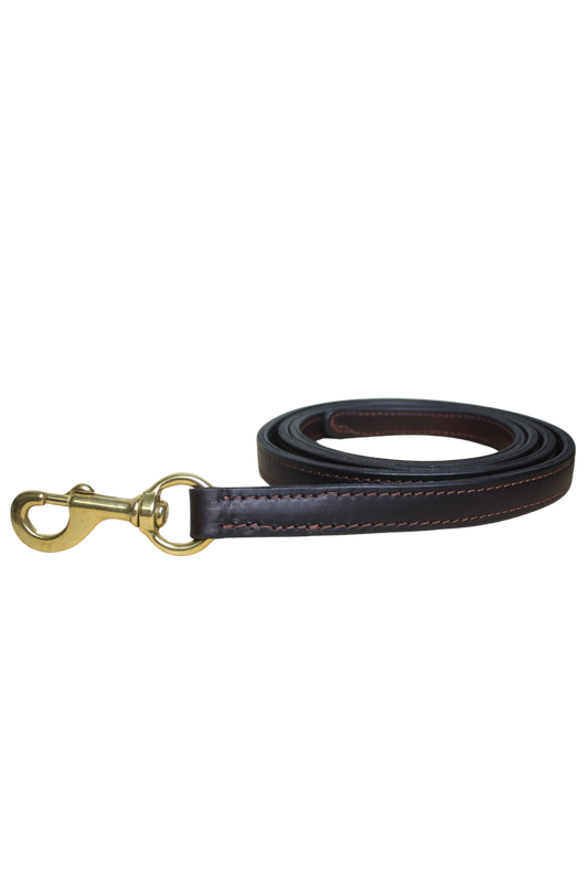 TS DOUBLE LEATHER LEAD WITH SNAP