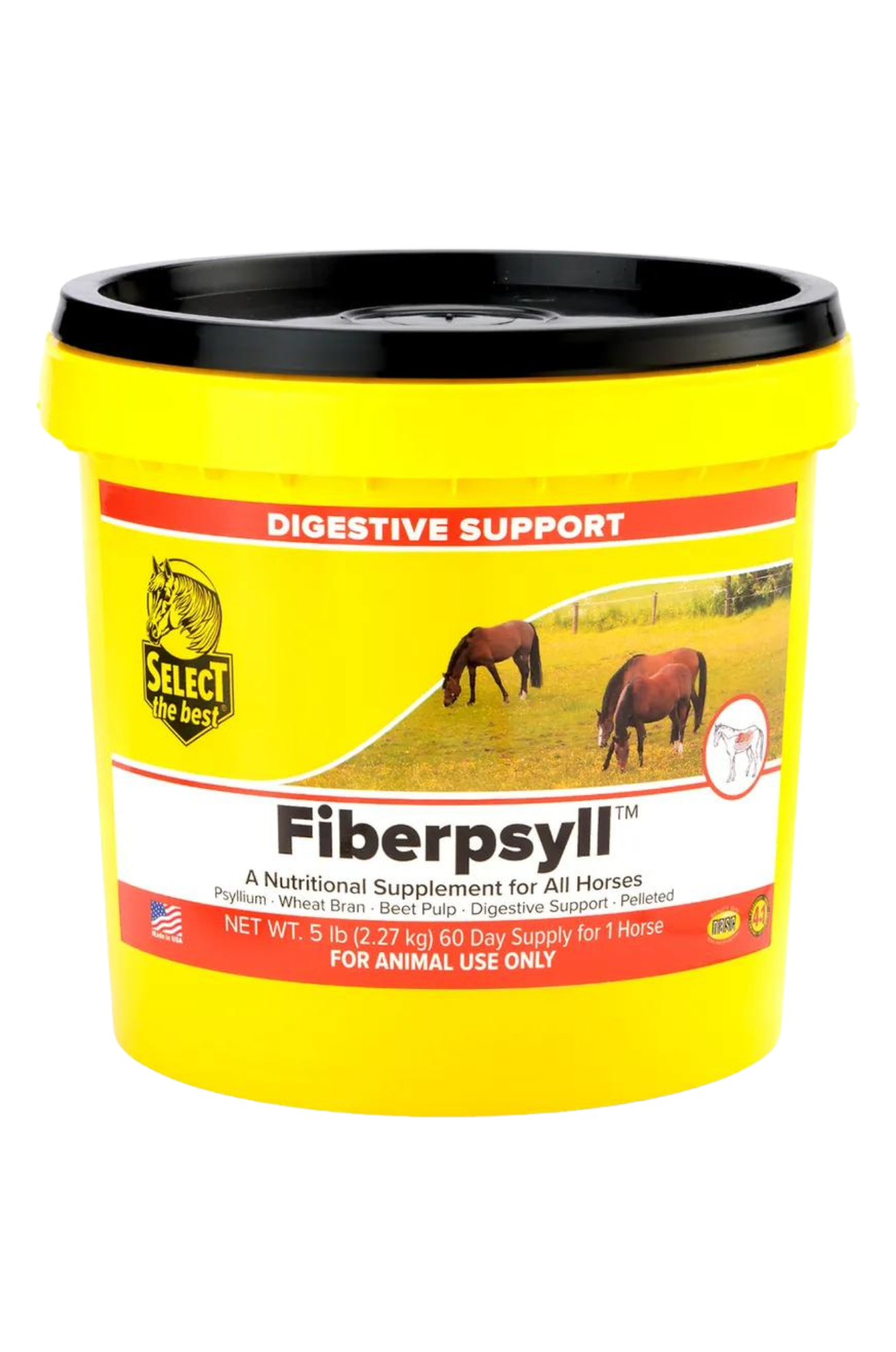 FIBERPSYLL