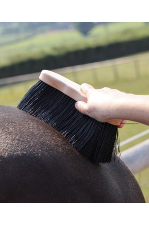 Ezi-Groom Premium Dandy Brush