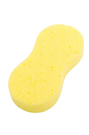 Assorted Expanding Sponge