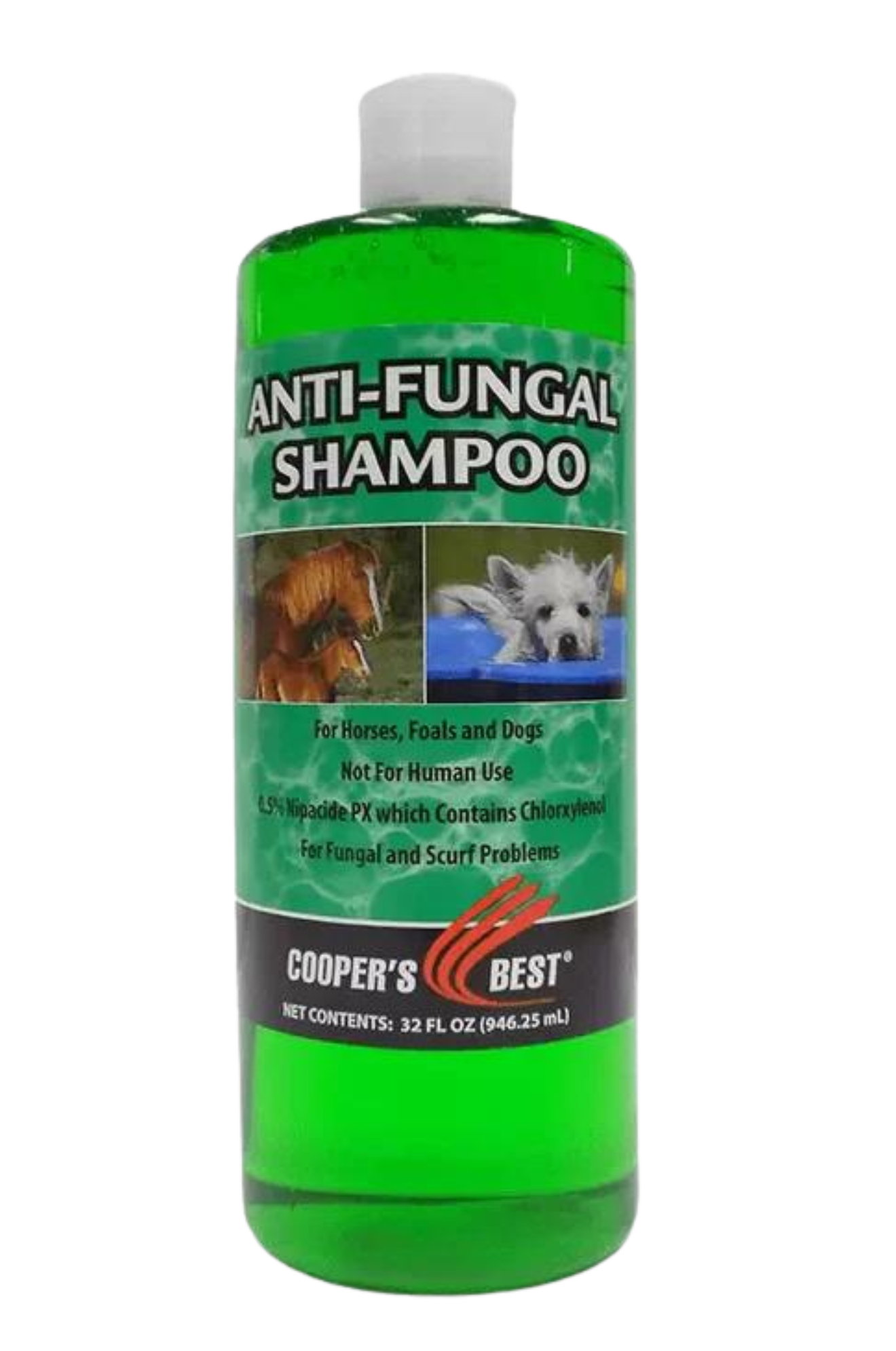 FIRST COMPANION ANTI-FUNGAL SHAMPOO