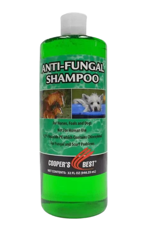 FIRST COMPANION ANTI-FUNGAL SHAMPOO