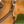 A brown horse wearing a Walsh British Triple Stitch Halter with English hand rubbed bridle leather, featuring contrasted Havana leather and white thread, solid brass hardware, adjustable crown, and a rolled throat with snap.