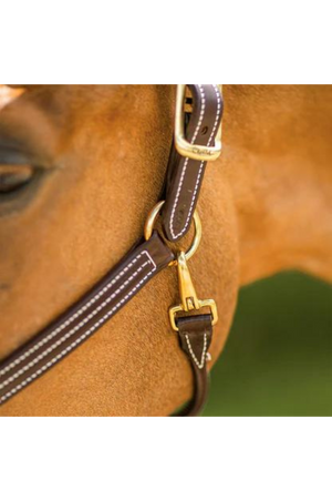 A brown horse wearing a Walsh British Triple Stitch Halter with English hand rubbed bridle leather, featuring contrasted Havana leather and white thread, solid brass hardware, adjustable crown, and a rolled throat with snap.
