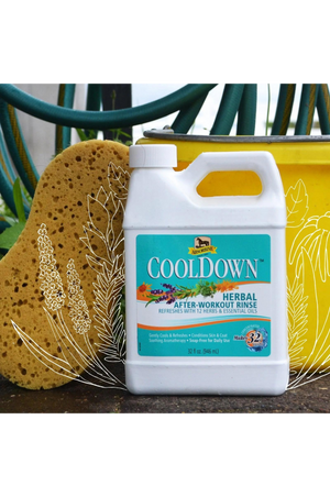 A white bottle of ABSORBINE COOLDOWN HERBAL RINSE with a label featuring green and herbal design elements.