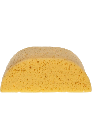 HADERA HUMP BACK SPONGE