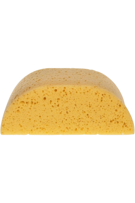 HADERA HUMP BACK SPONGE