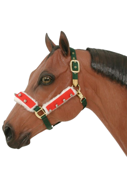 HOLIDAY HALTER/BRIDLE SET