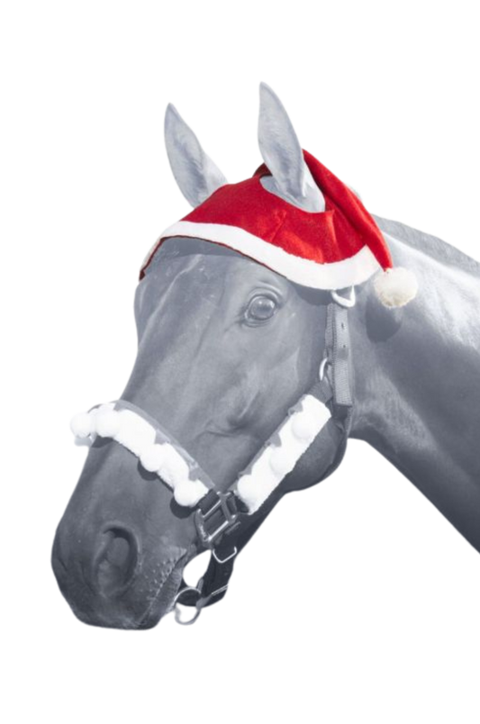 SANTA 2 EAR HORSE HAT