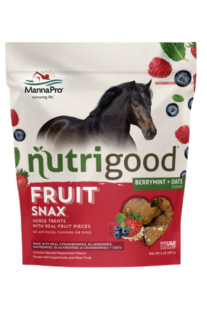 Nutrigood Fruit Snax