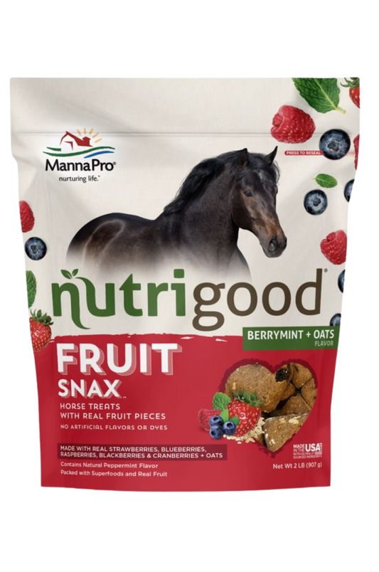 NUTRIGOOD FRUIT SNAX