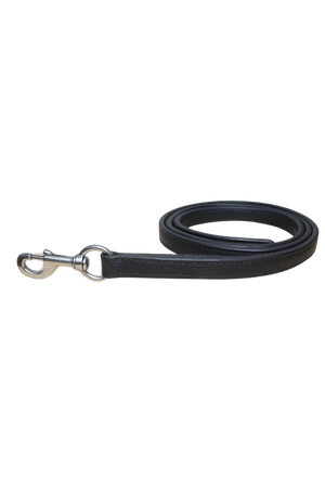 A brown leather horse lead with solid brass hardware including a snap.