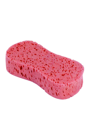 Assorted Expanding Sponge