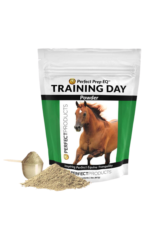 PERFECT PREP EQ TRAINING DAY