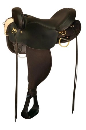 A brown Circle Y Julie Goodnight Wind River saddle with decorative tooling and a silver horn cap, designed for trail riding.