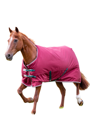 Shires Tempest Original200 Turnout Blanket