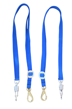 A pair of blue nylon cross ties with metal clasps and buckles.