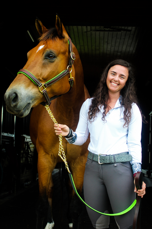 Custom Padded leather halter with brass or chrome hardware, handmade, lime green