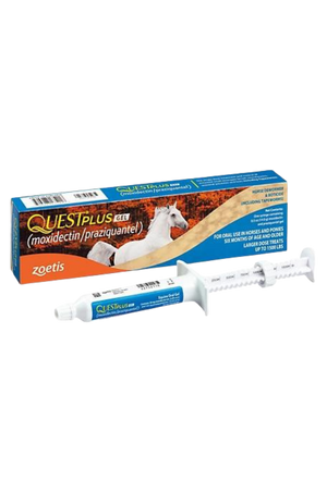 QUEST PLUS
