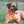 A dog wearing a biothane collar with brass hardware including a buckle and a D-ring.