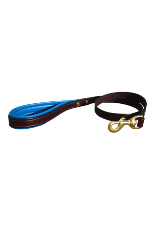 TS Custom Leather Dog Leash