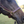 A black leather horse lead with a solid brass shank and chain.