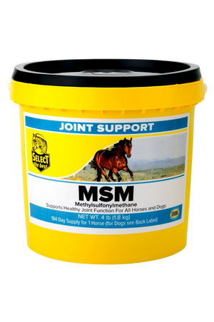 A yellow plastic tub labeled 'MSM Joint Support' with an image of a horse on the label.