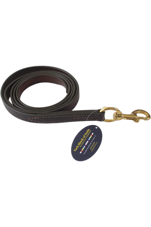 A black leather horse lead with a brass snap, coiled and displayed against a white background.
