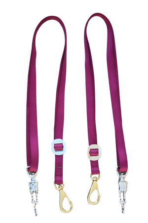 A pair of burgundy/marron nylon cross ties with metal clasps and buckles.