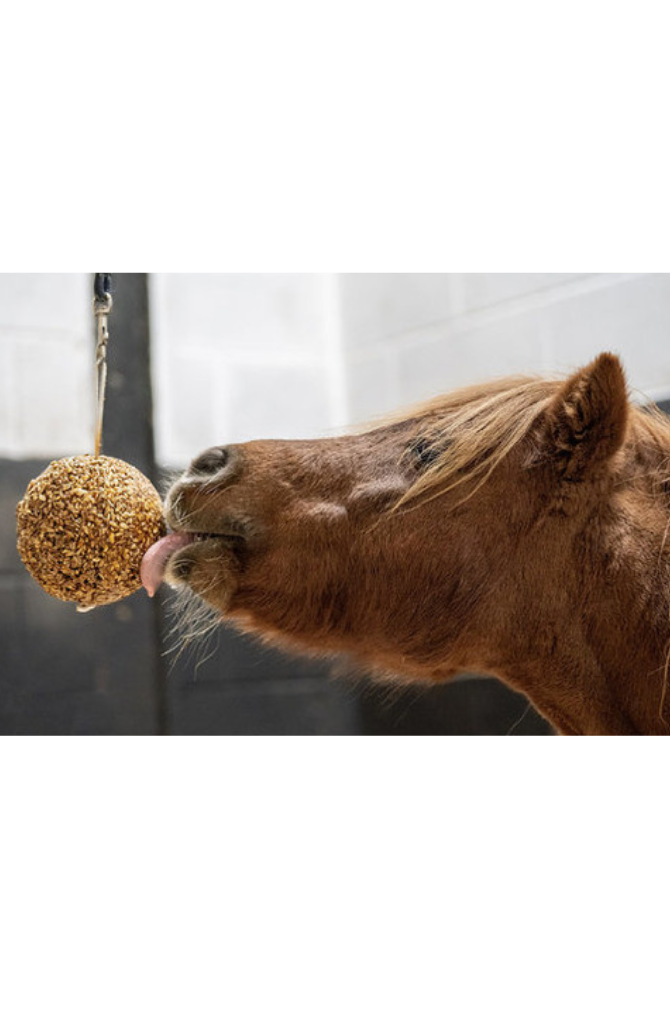 LIKIT GRANOLA STALL BALL