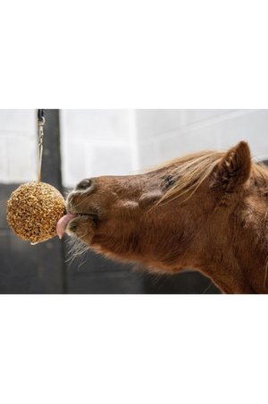 Likit Granola Stall Ball
