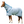 A horse wearing a white fly sheet with UV protection.