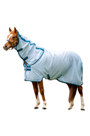 A horse wearing a white fly sheet with UV protection.